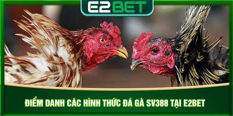 Nhiều thể loại đá gà người chơi trải nghiệm tại E2BET